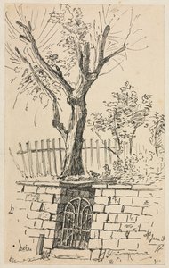 Albero sopra un muro di pietra, Cleveland da Otto H. Bacher