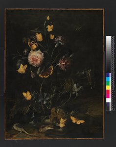 Fiori, insetti e rettili, 1673 da Otto Marseus  van Schrieck