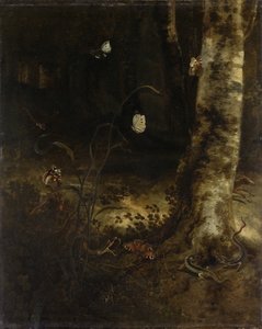 Suolo della foresta con un serpente, lucertole, farfalle e altri insetti da Otto Marseus  van Schrieck