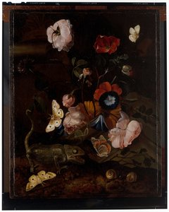 Natura morta forestale da Otto Marseus  van Schrieck