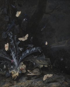Natura morta con cardo e serpente da Otto Marseus  van Schrieck