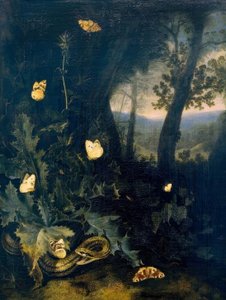 Suolo del bosco con cardo e serpente da Otto Marseus  van Schrieck