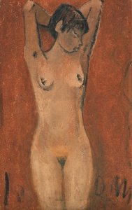 Nudo femminile su sfondo marrone da Otto Mueller