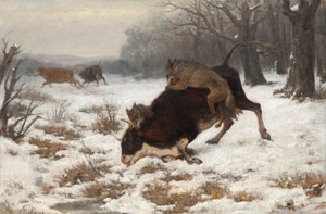 Una mucca attaccata dai lupi da Otto von Thoren
