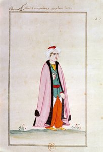Arte ottomana: un giovane turco da Ottoman School