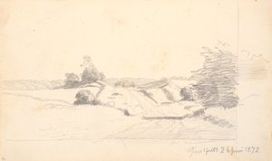 Una strada di campagna con alcuni cespugli in primo piano. Sullo sfondo un bordo della foresta
