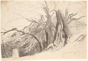 Una scarpata con grandi alberi in un bosco, con due donne che camminano da P.C. Skovgaard