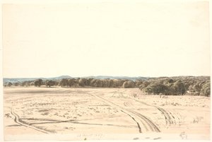Dalla pianura dell