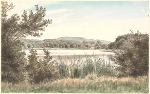 Il lago dei cani a Møn da P.C. Skovgaard