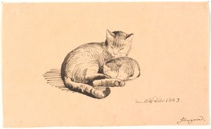 Gatto Sdraiato con il Suo Gattino