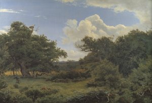 Querce nella Nordskoven vicino a Jægerspris, Zelanda da P.C. Skovgaard