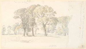 Parte del parco di Jægersborg con alberi isolati