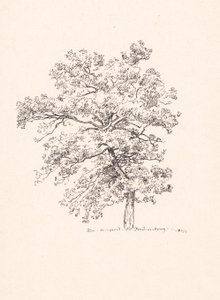 Albero a Fredensborg da P.C. Skovgaard