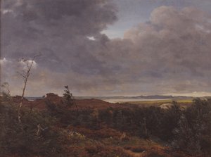 Veduta di Frederiksværk dal bosco di Tisvilde, Nord Zealand