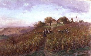 Vendemmia sui pendii dell