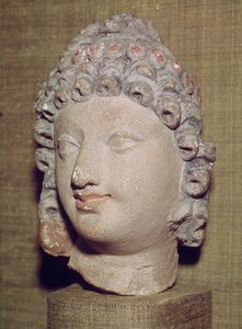 Testa di un Buddha, stile greco-buddista, I-IV secolo