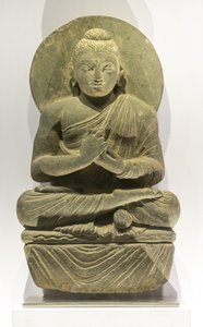 Immagine sconosciuta