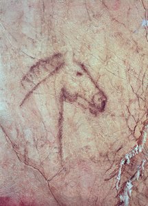 Testa di un cavallo, dalla Cueva de la Pena de Candamo San Roman (pittura rupestre)