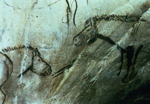 Cavalli, pitture rupestri nella Sala Nera, Magdaleniano