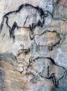 Bisonte ferito, Magdaleniano