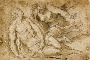 Venere scopre Adone morto da Palma Il Giovane