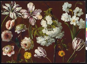 Tulipani viola, prunus bianco in fiore, narcisi e crisantemi rosa