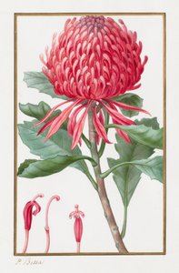 Senza titolo, 1828-1835