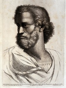 ARISTOTOLO da Paolo Fidanza