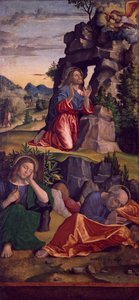 Gesù nel giardino da Paolo Morando Cavazzola