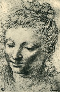 Testa di una donna che guarda in basso, metà XVI secolo, 1943