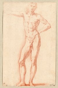 Un nudo maschile (gesso rosso)