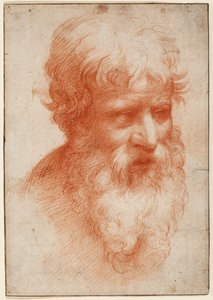 Testa di un uomo barbuto, guardando a destra, c.1523-25