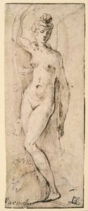 Figura femminile - studio per Santa Maria della Steccata, Parma (recto) da Parmigianino
