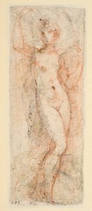 Figura femminile - studio per la Steccata