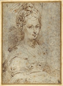 Mezza lunghezza di una donna seduta da Parmigianino