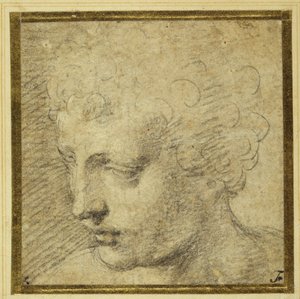 Testa di un ragazzo, quasi di profilo a sinistra da Parmigianino