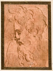Testa maschile da Parmigianino