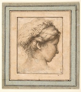 Profilo di una ragazza che guarda a destra da Parmigianino