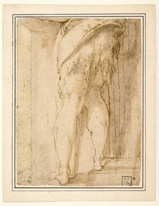 Studio per le gambe di San Giovanni Battista da Parmigianino