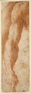 Studio del braccio destro di un uomo, la sua mano che tiene un bastone da Parmigianino