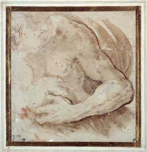 Studio del braccio sinistro, petto e testa di un uomo barbuto da Parmigianino