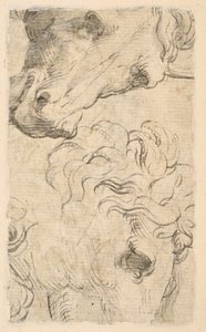 Due studi di teste di cavalli (frammento)