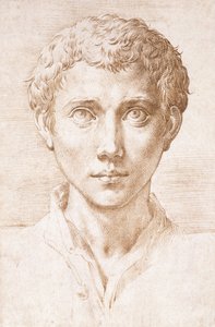 Testa di un giovane che guarda in alto