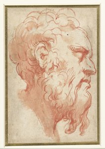Testa di un vecchio, di profilo a destra da Parmigianino
