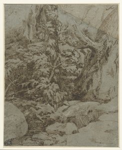 Studio di un paesaggio da Parmigianino