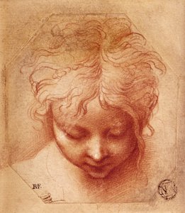 Studio di una testa da Parmigianino
