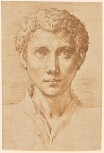 La testa di un giovane da Parmigianino