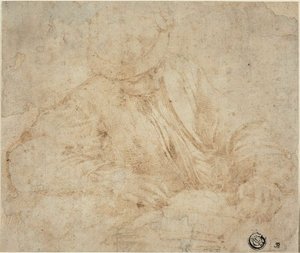 Giovane uomo che legge da Parmigianino