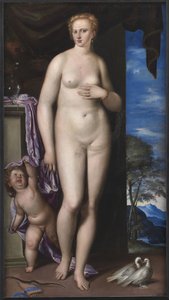 Venere e Cupido da Parrasio Micheli