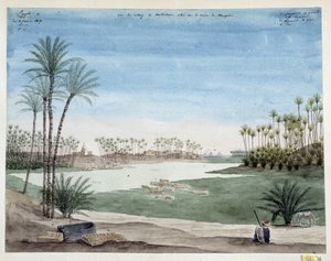 Egitto: Veduta del villaggio di Metriham vicino a Menfi. 1819 da Pascal Xavier (after) Coste